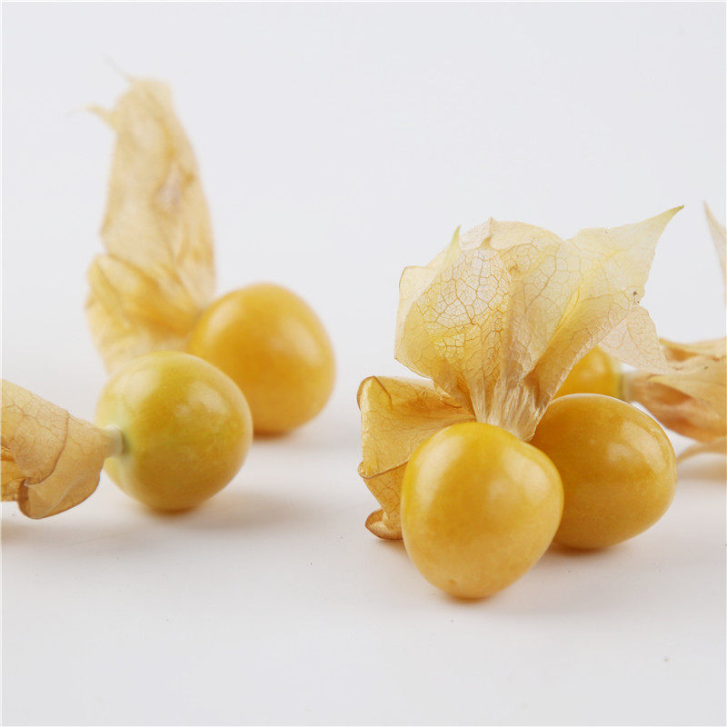 姑娘云南南新开园东北特产大小小黄黄菇娘新鲜其它