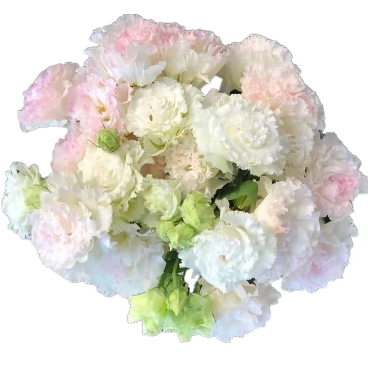 洋桔梗草原龙胆鲜花波浪钢丝云南基地地直插花鲜花速递(同城)