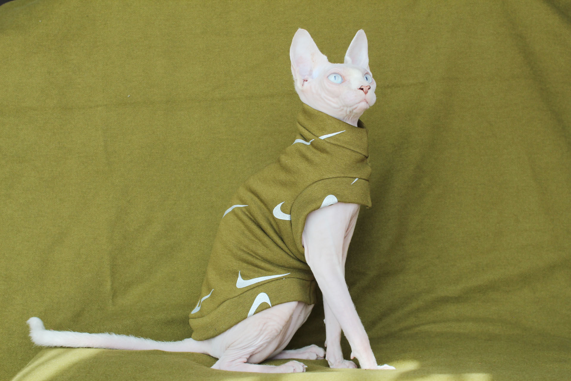 定制防脱绿色烫银无毛猫衣服棉针织秋冬保暖dapan斯芬克斯猫