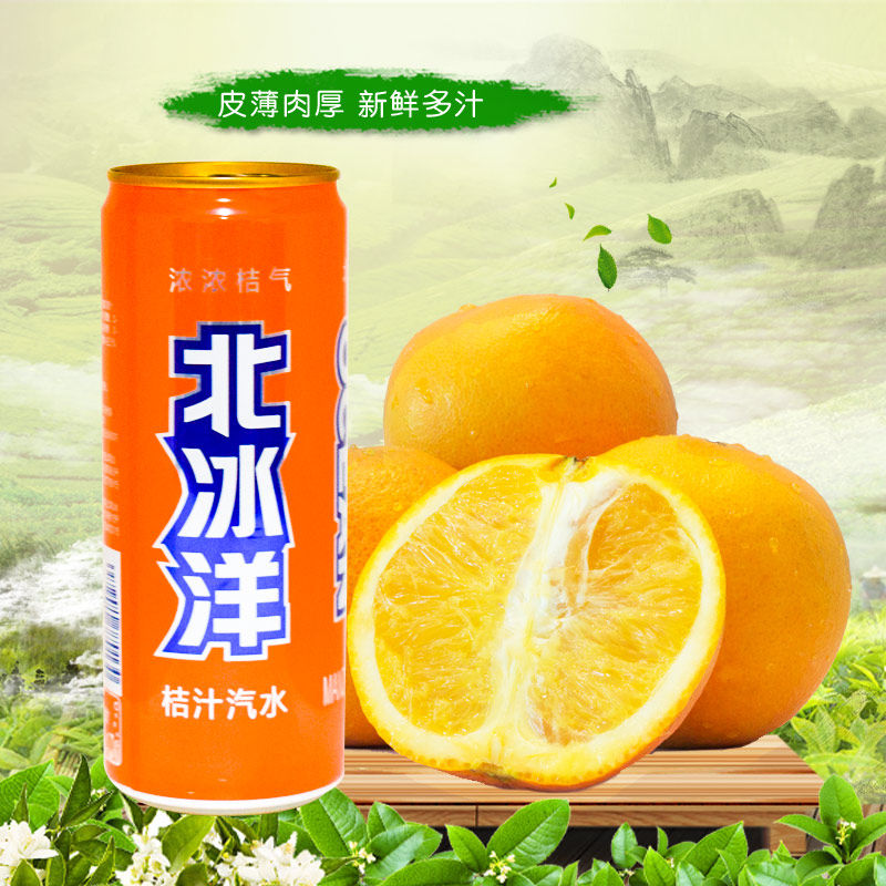 【北冰洋橙汁汽水200ml*12听】老北京果味汽水迷你罐听装碳酸饮料