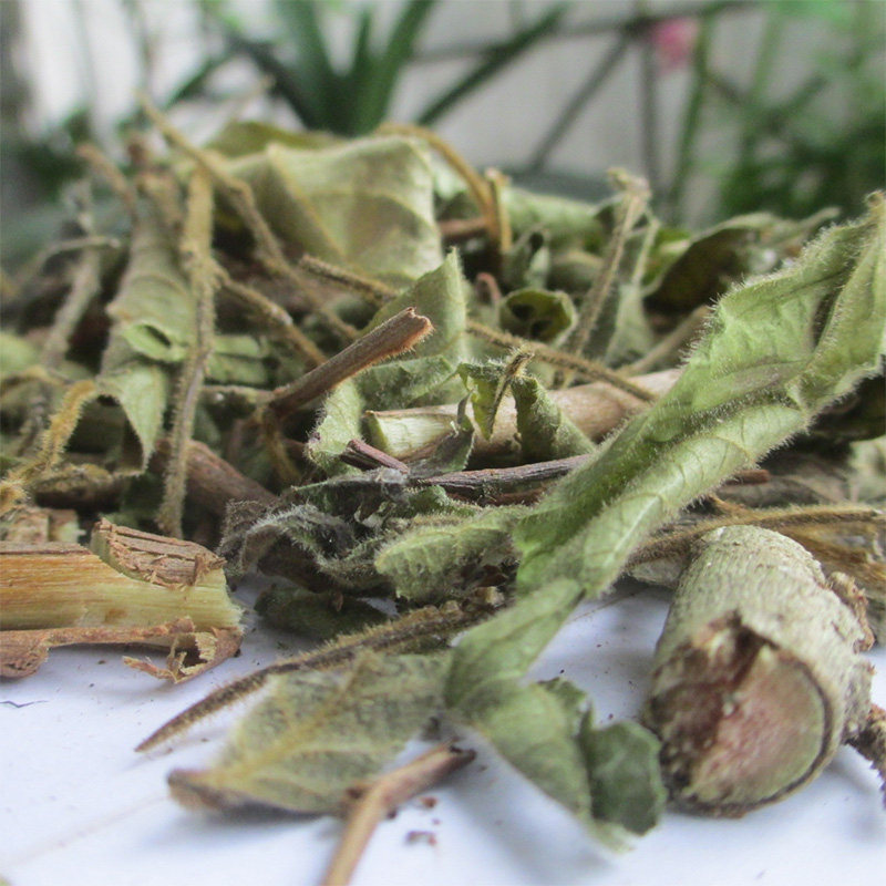 500g漆大姑大毛漆毛七哥公算盘子野南瓜姑大伯无硫野生中药材包邮