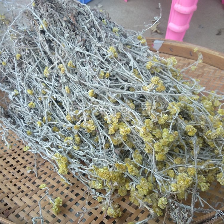 野生鼠曲草白头翁田艾李黄花整棵干货真品500g罗岗中草药