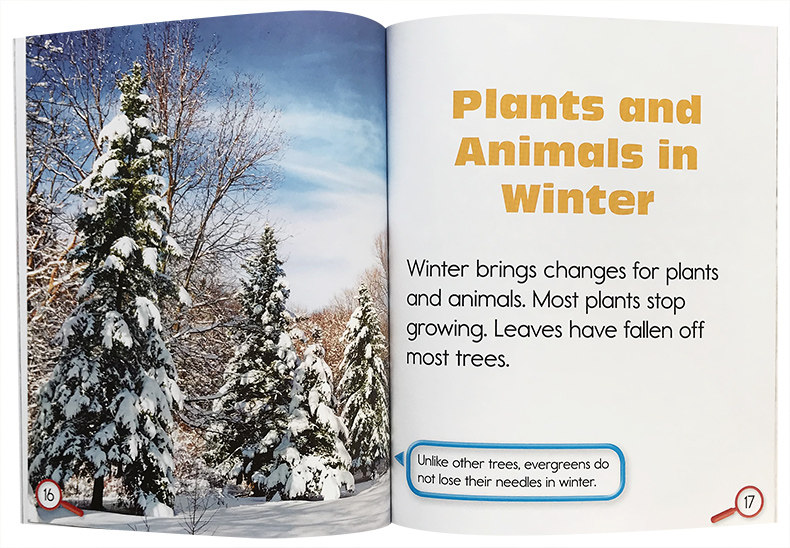read about science weather and seasons spring summer fall winter
