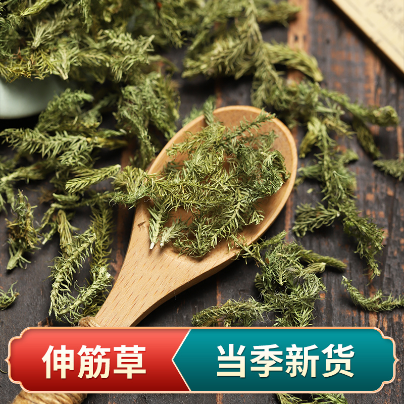 通经草的功效与作用图片