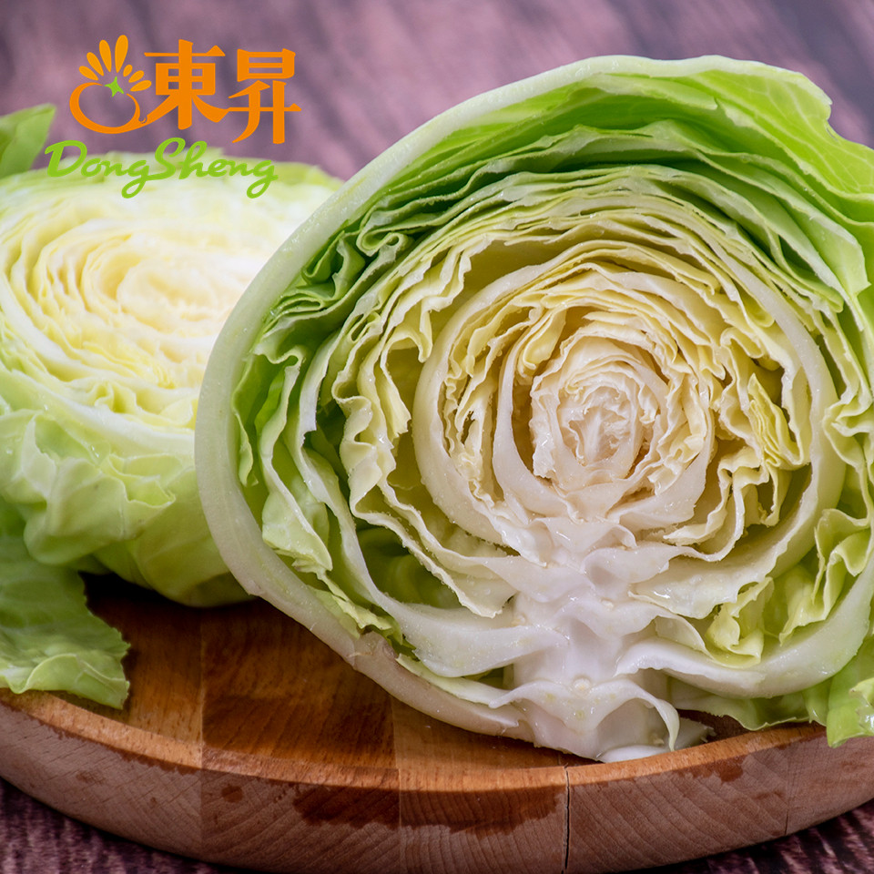 东升农场有机椰菜卷心心包菜球甘蓝洋白菜广州其它