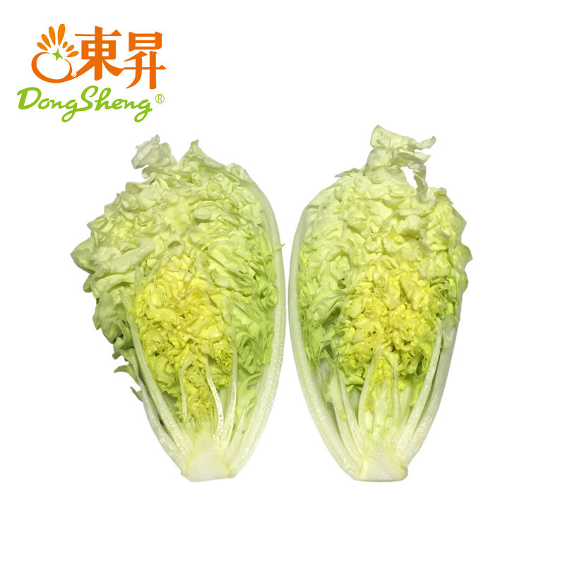 东升农场 东升银丝王菜 青菜 广州新鲜蔬菜配送 300g