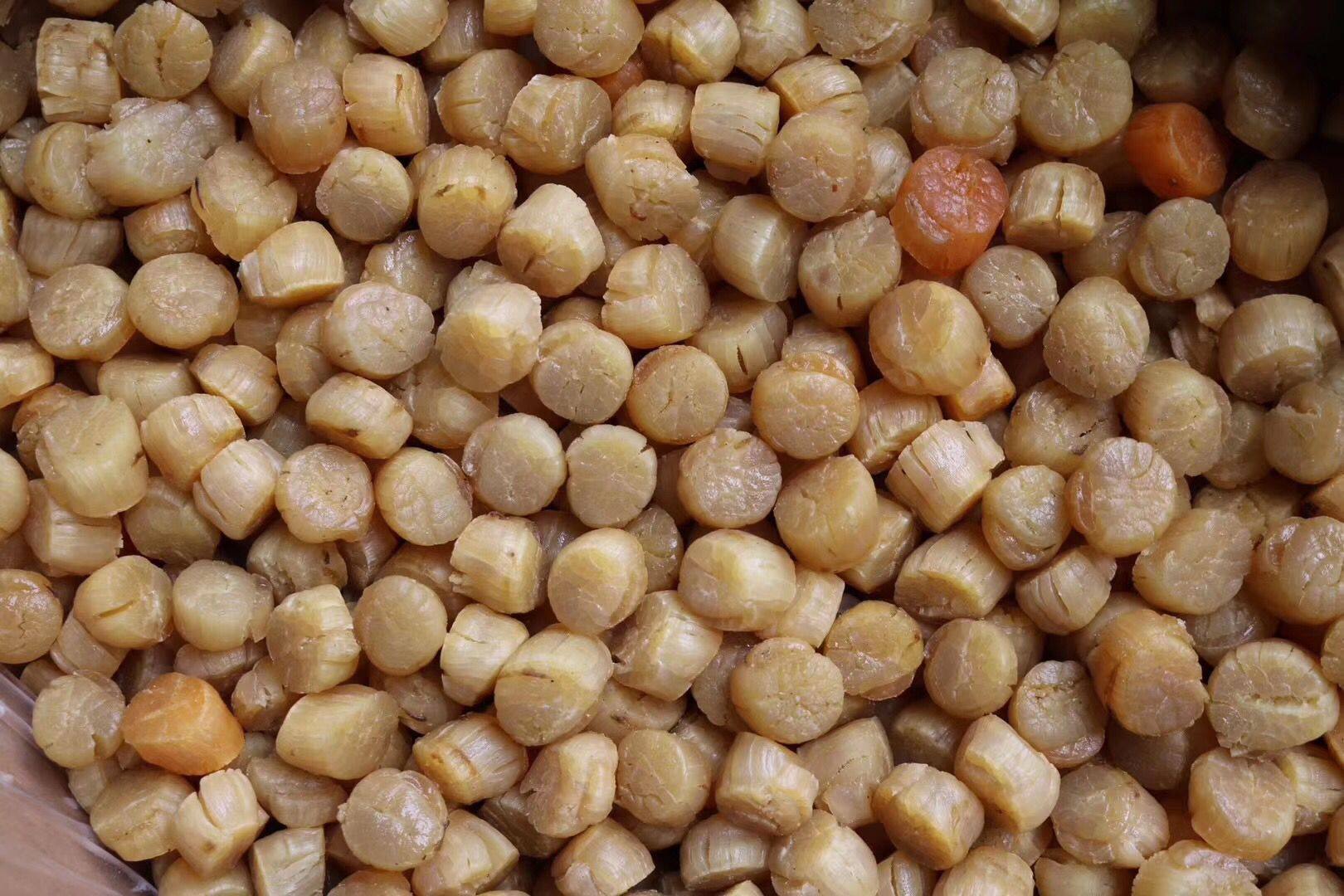 深海元贝仙贝干贝瑶柱自晒野生无添加海南海鲜干贝