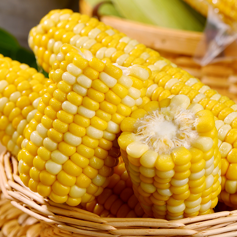 云南水果玉米米开袋即食甜玉米棒玉米粒代餐免煮玉米
