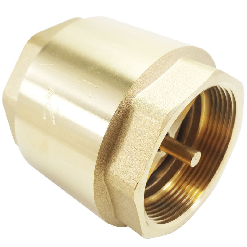 止回阀单向阀弹簧立式螺纹水管止逆2寸1寸加厚止回阀