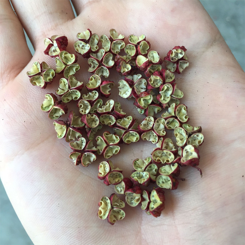 花椒精品2020大红红袍梅花食用香麻头子500g花椒