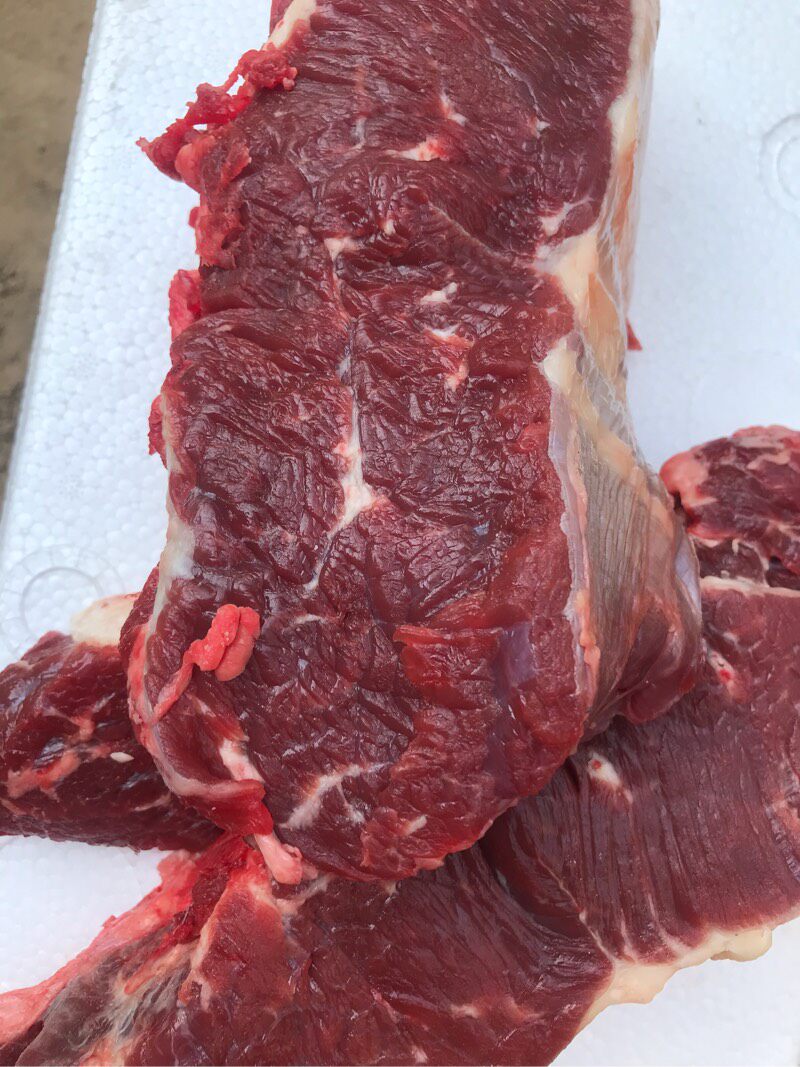 牛肉新鲜现杀当天牛腱牛腩有机黄牛肉牛排打包生牛肉