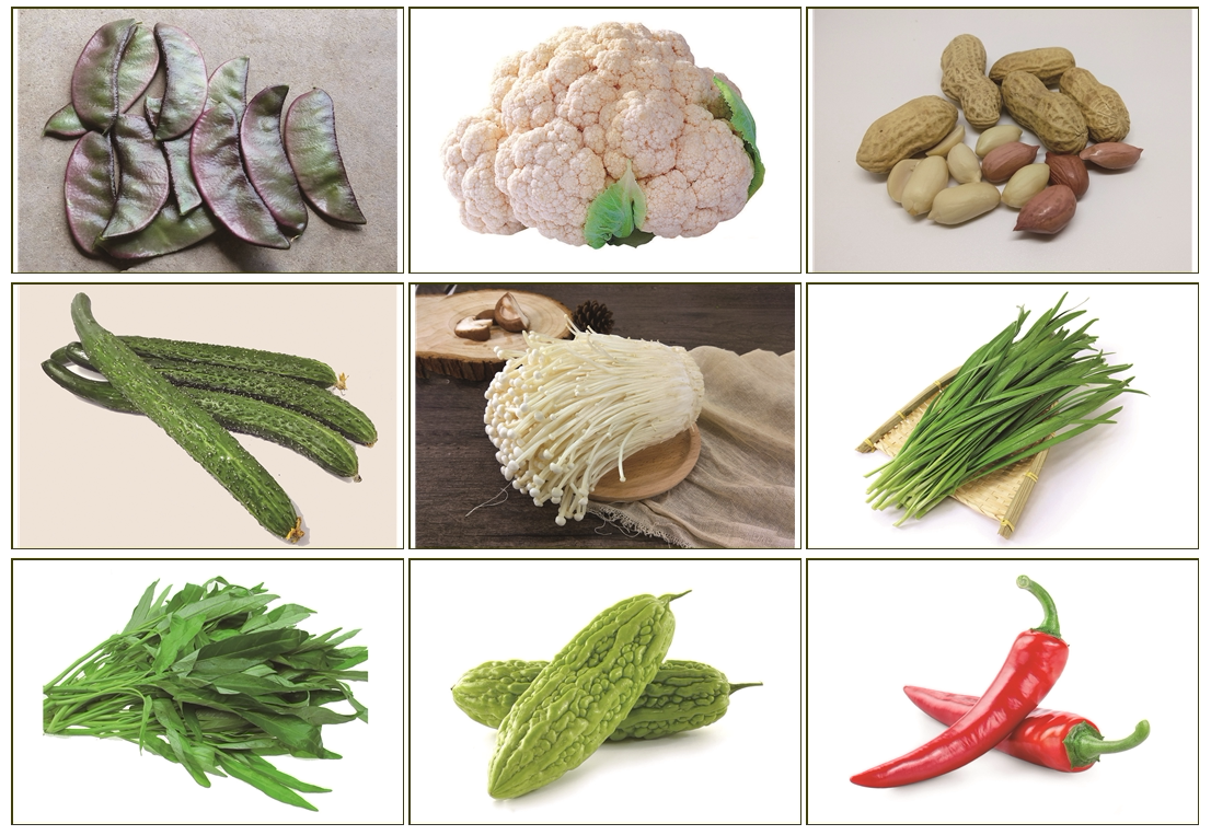 认知卡片蔬菜自闭症孤独症发育迟缓儿童宝宝启蒙玩具挂图