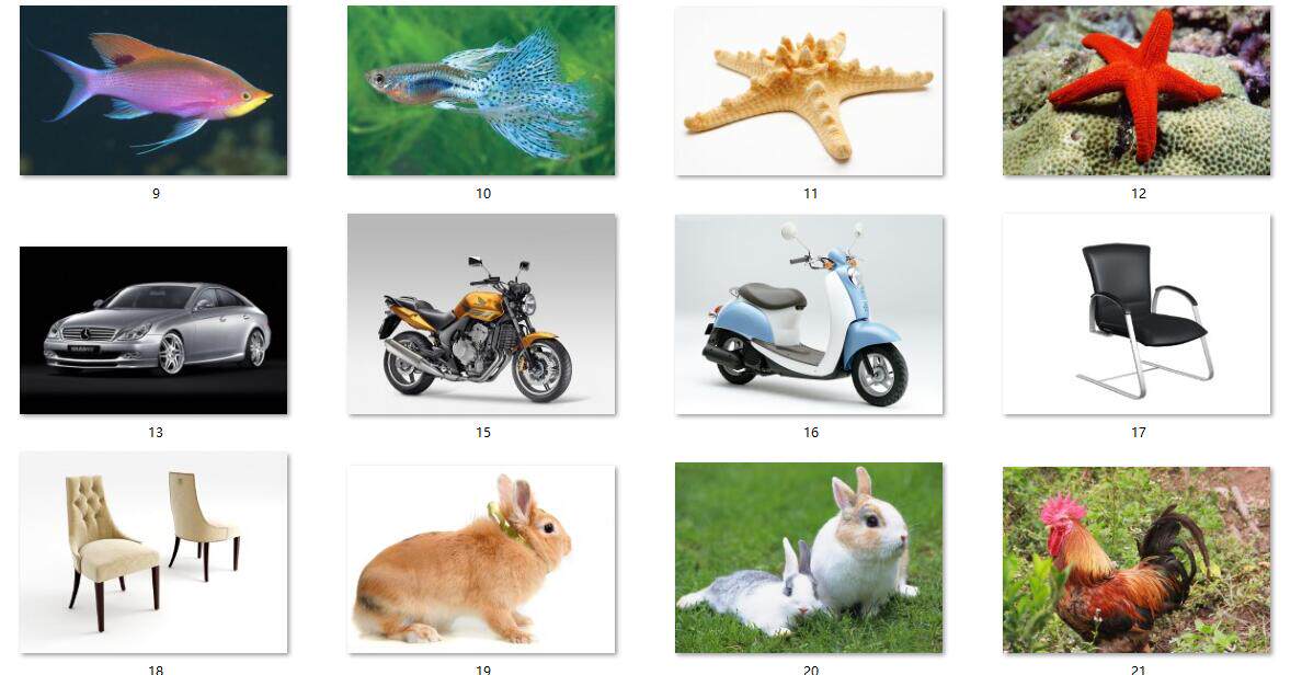 训练相似配对早教儿童思维自闭症卡片教具康复早教闪卡