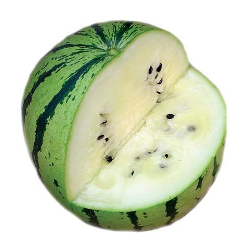 特色雪梨西瓜种孑白色籽无渣脆甜水水果现在家庭园艺种子