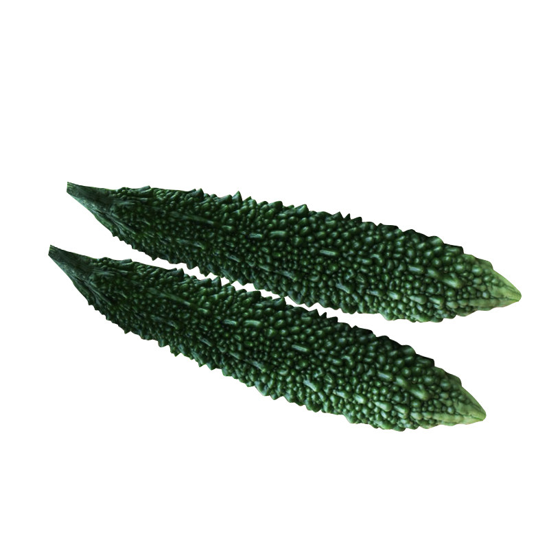 四季高产蔬菜特色黑珍珠苦瓜种子菜籽春秋菜园家庭园艺种子