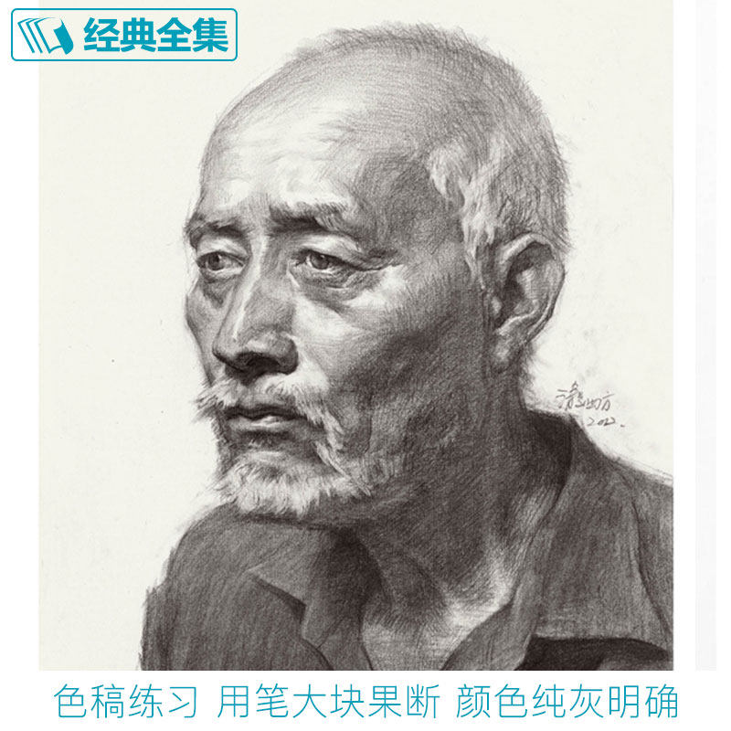 主编名师大合集画照片线描线性结构体块明暗解析素描头像教材教程书
