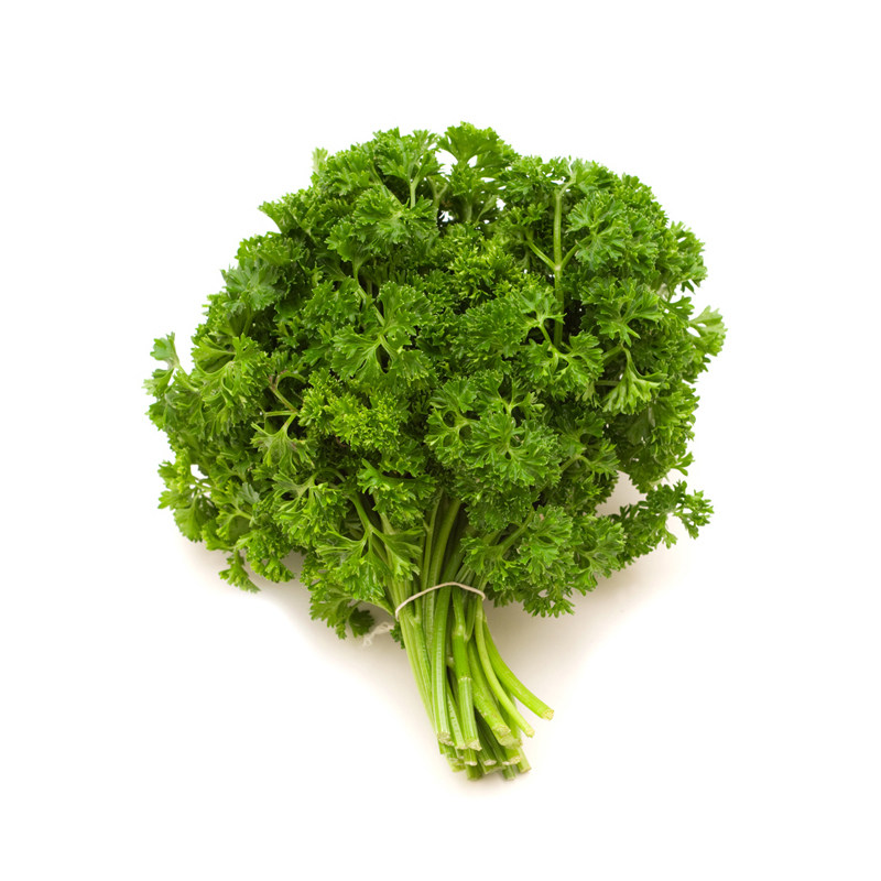 德国进口法香欧香种籽摩西香芹皱叶种子欧芹家庭园艺种子