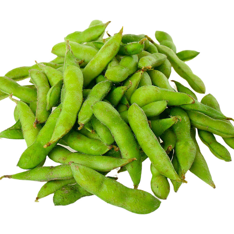 毛豆早熟菜用大田豆种黄豆种绿宝石大粒鲜食春季家庭园艺种子