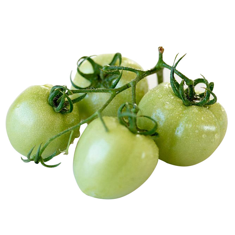青苹果西红柿种子东北贼不偷青绿色大番茄种籽四季丰收黄番茄种孑