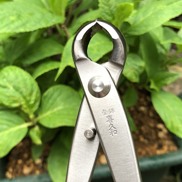 久和球结根切不锈钢材质日本瘤剪圆口包邮3205圆剪刀