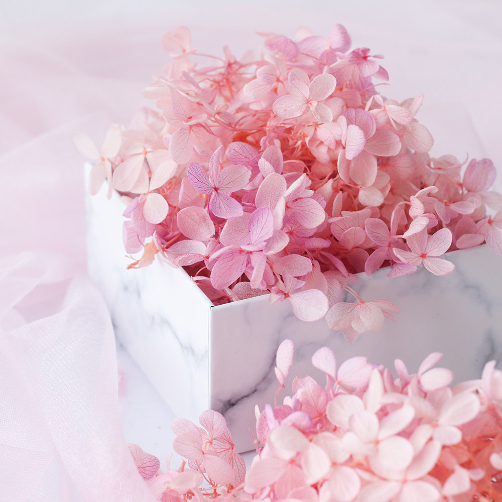 绣球蔷薇渐变国产中叶大叶永生永生花花木小叶永生花