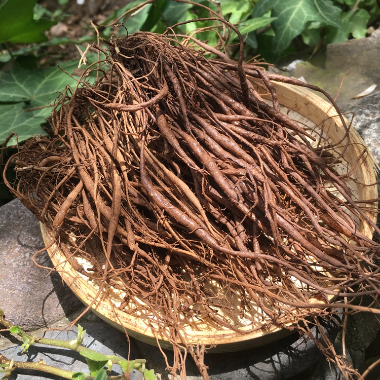 珞妮山庄云南中草药材野生新鲜千针万线草药食同源1000g包邮