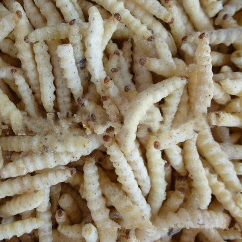 云南特产竹虫竹蜂虫笋虫新鲜速冻竹蛹竹节虫500克餐厅下酒菜