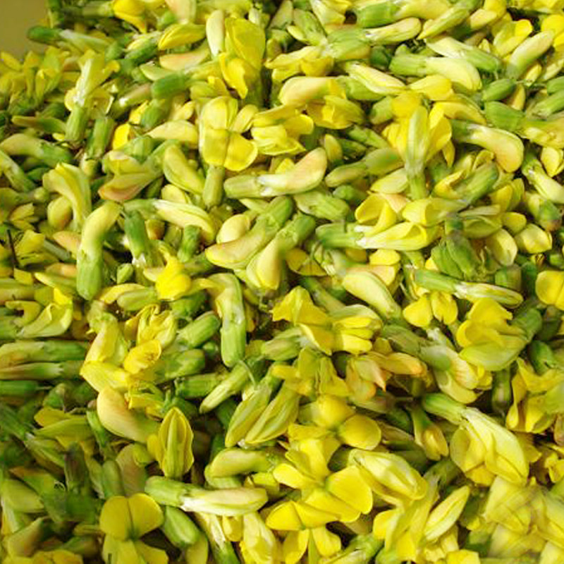 现货 新鲜金雀花1000g顺丰包邮云南特产食用鲜花特色菜酒店食材