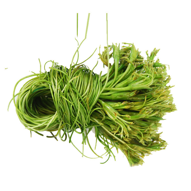 海菜大理2斤顺丰包邮水性杨花云南特产洱海新鲜其它