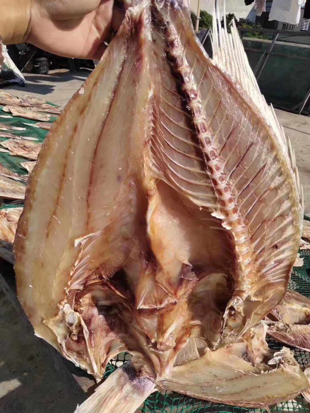 深海红鱼湛江硇洲特产送礼整条海鲜海鱼干货水产品包装