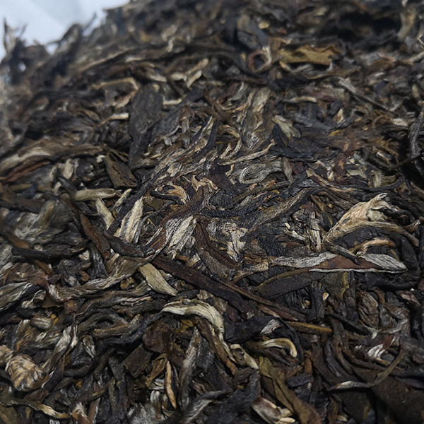 2021年云南临沧勐海冰岛大白菜普洱茶生茶357g生态普洱