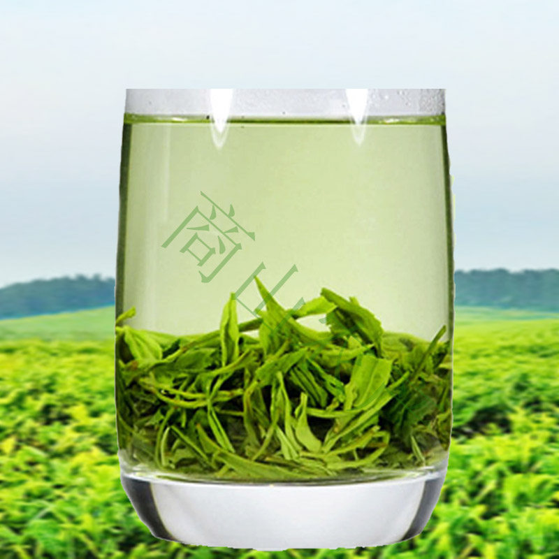 2022新茶陕西商洛山阳茶叶特产天竺天竺山山茶其它绿茶