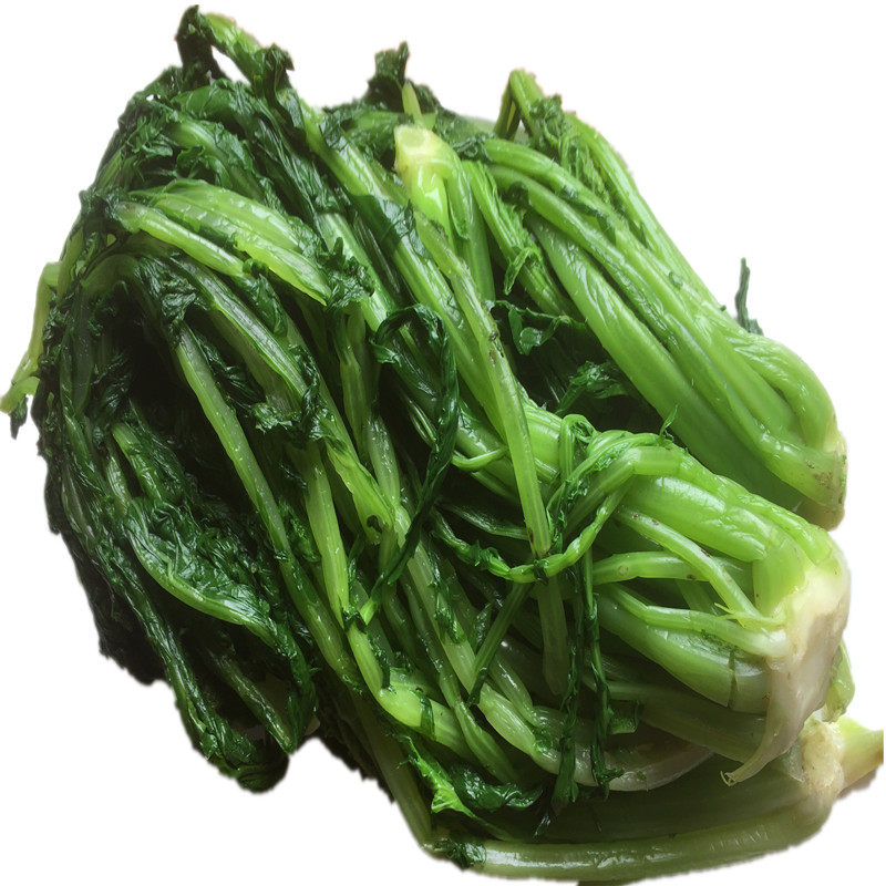 烫菜淡味绿色雪里蕻雪里红每日鲜做食材500克清炒乐清之家