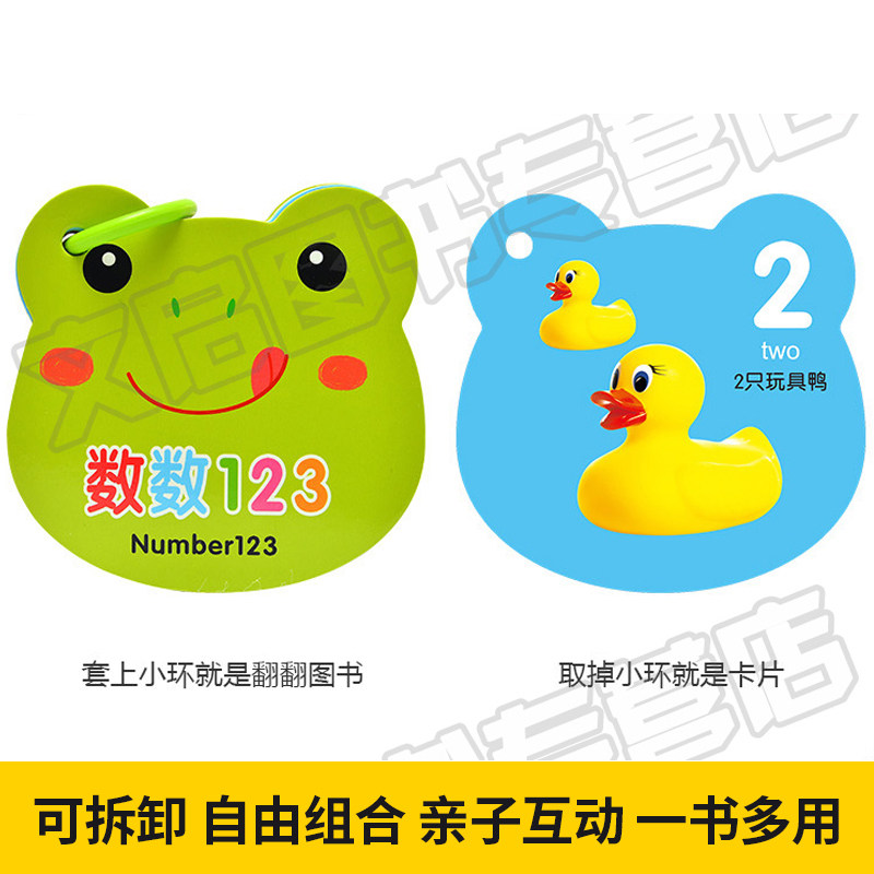 益智读物数字拼音颜色水果卡看图认知卡片