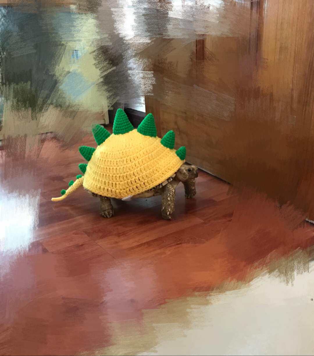 衣服乌龟预售犄角剑龙造型手工钩编马甲背心宠物服装