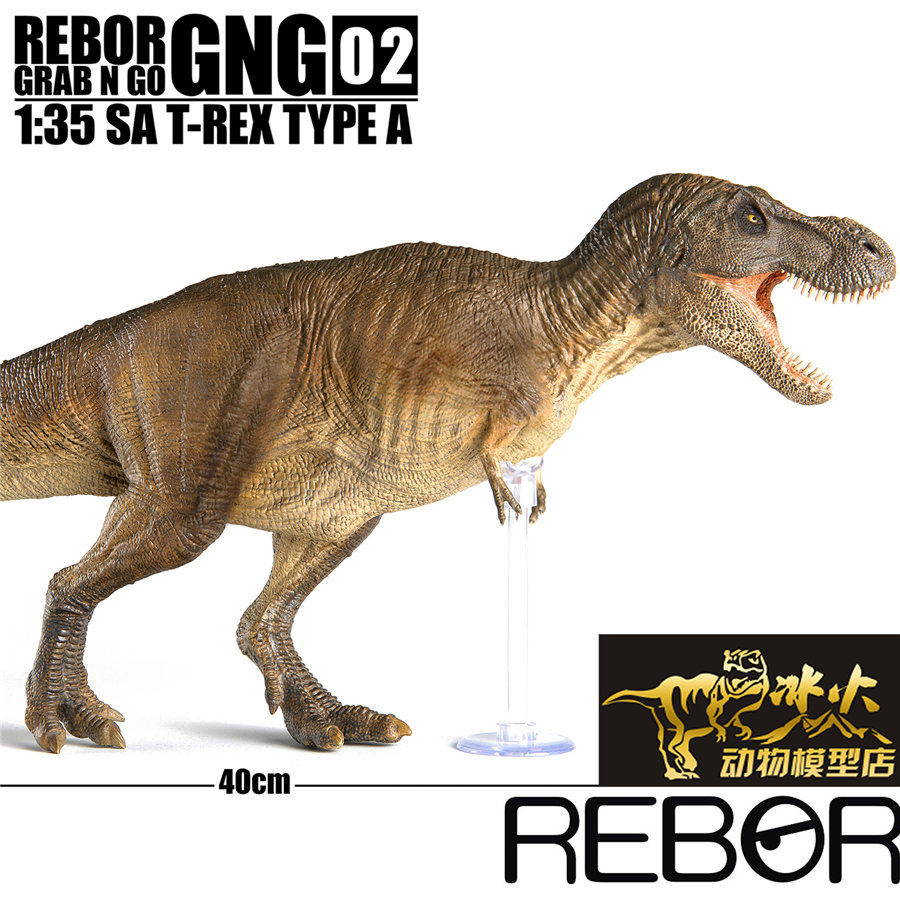 rebor2020男孩侏罗纪恐龙gng系列暴龙霸王龙成人孩子仿真