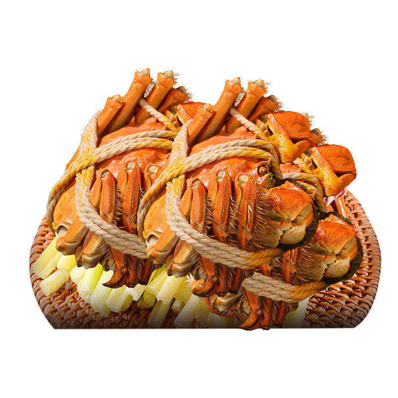 重阳多黄活动8只美味多肥多膏现货蟹肉大闸蟹大闸蟹