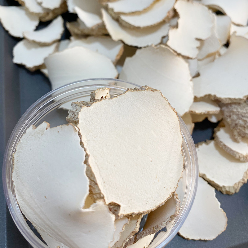 虎奶大片100克野生老虎奶乳菌片虎乳灵芝呵护药膳养生汤料