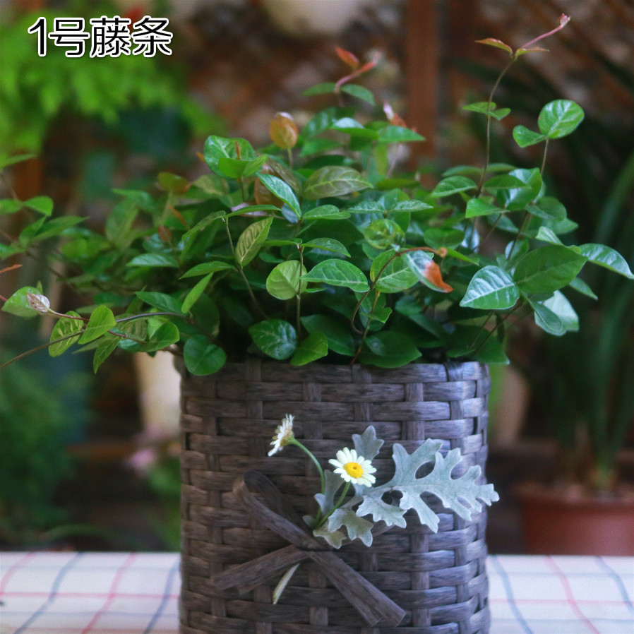 藤条立夏园艺diy花盆仿真pe编织手工花篮花盆