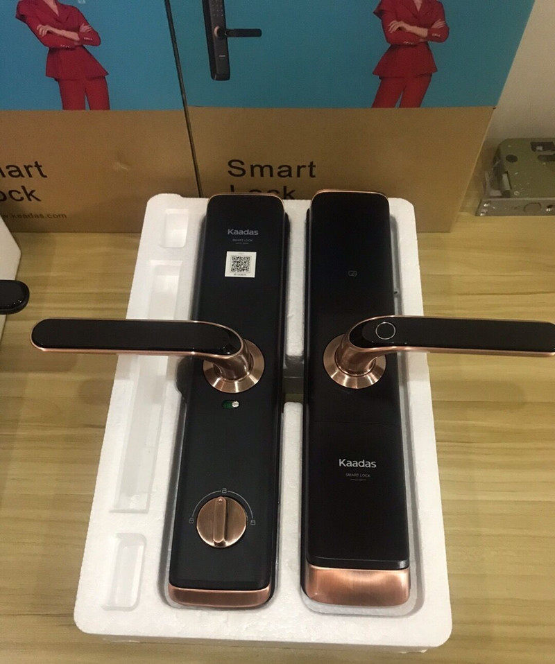 德国凯迪仕智能s110指纹门锁wifi直连家用防盗门智能门锁