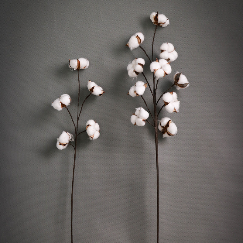 棉花干花装饰品diy花枝摆设家居系家森林风森干花