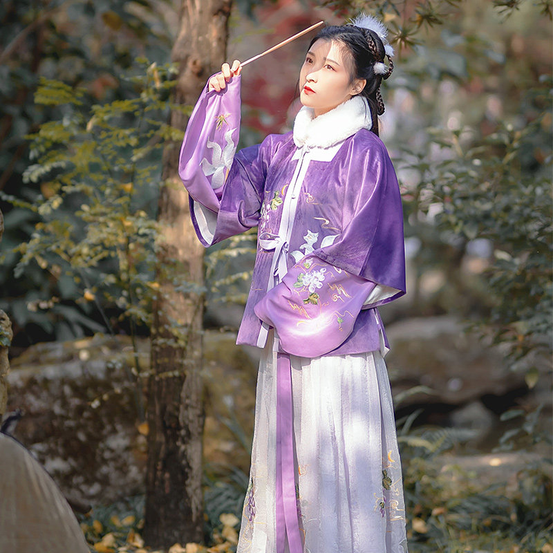 原创汉服现货小狐狸葡萄紫色改良交领短袄半臂汉服