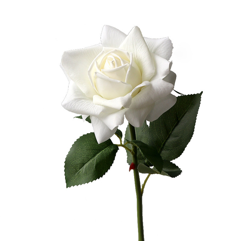 手感保湿白玫瑰家居客厅餐桌摆放绢花假花摄影仿真花
