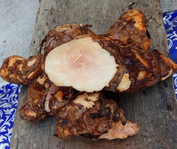 广西新鲜土茯苓纯野生过山龙硬饭仙遗粮滋补煲汤料1斤5斤包邮泡酒