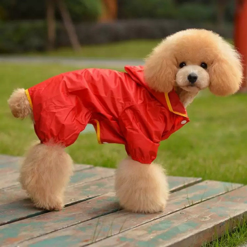 雨衣宠物波波泰迪贵宾服装狗狗小型中型四脚狗宠物服装