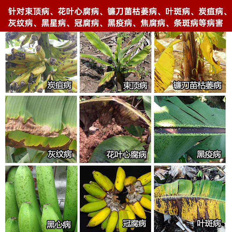 香蕉病全杀菌剂叶斑病黄叶病毒枯萎炭疽病专用用药叶面肥