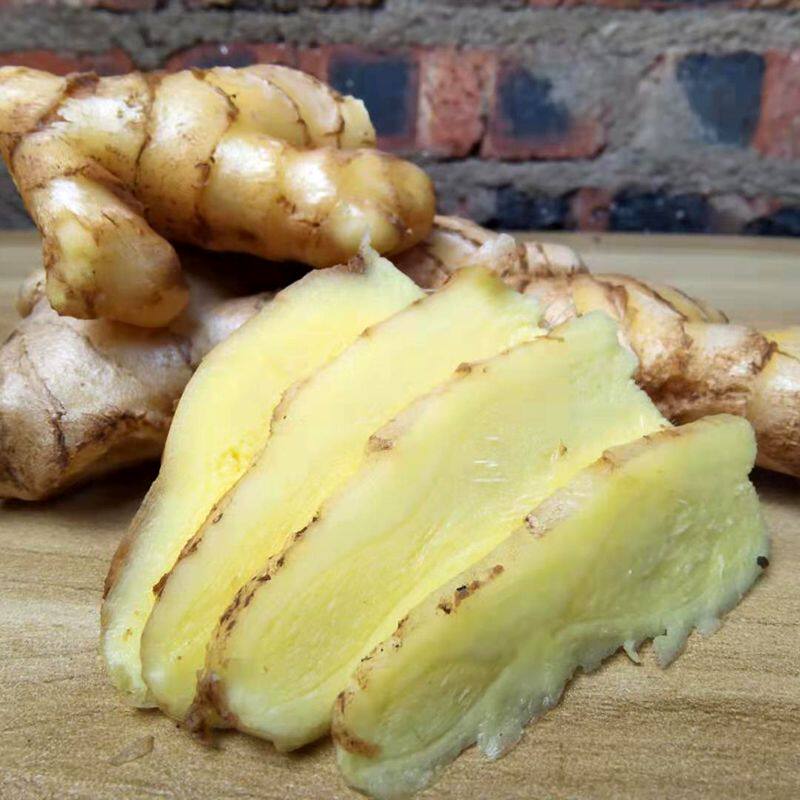 5斤仔姜姜蔬菜红芽姜鲜姜老醋小黄现挖黄姜新鲜嫩生姜