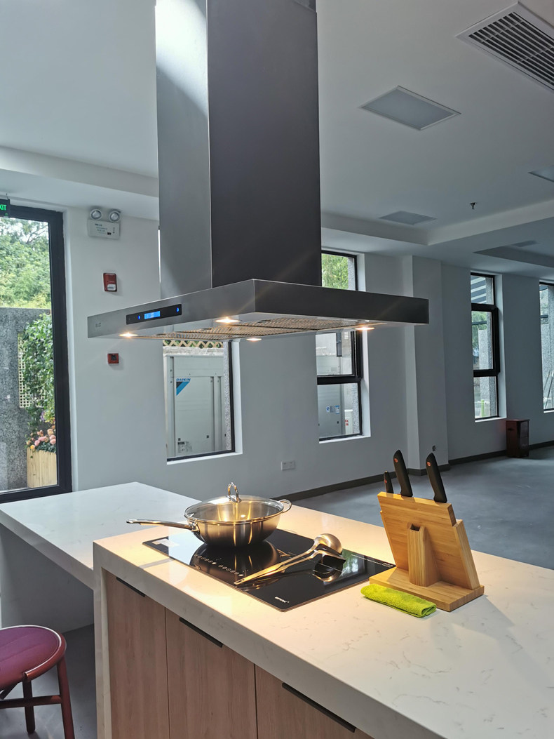 中岛吸油烟机变频静音大吸力吸油机德国bast岛台西厨油烟机