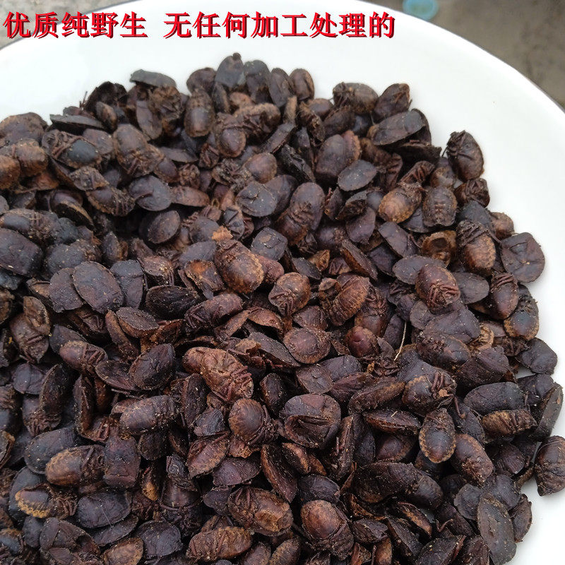 九香中药材清水小生打屁500g包邮新鲜干货支持其他药食同源食品