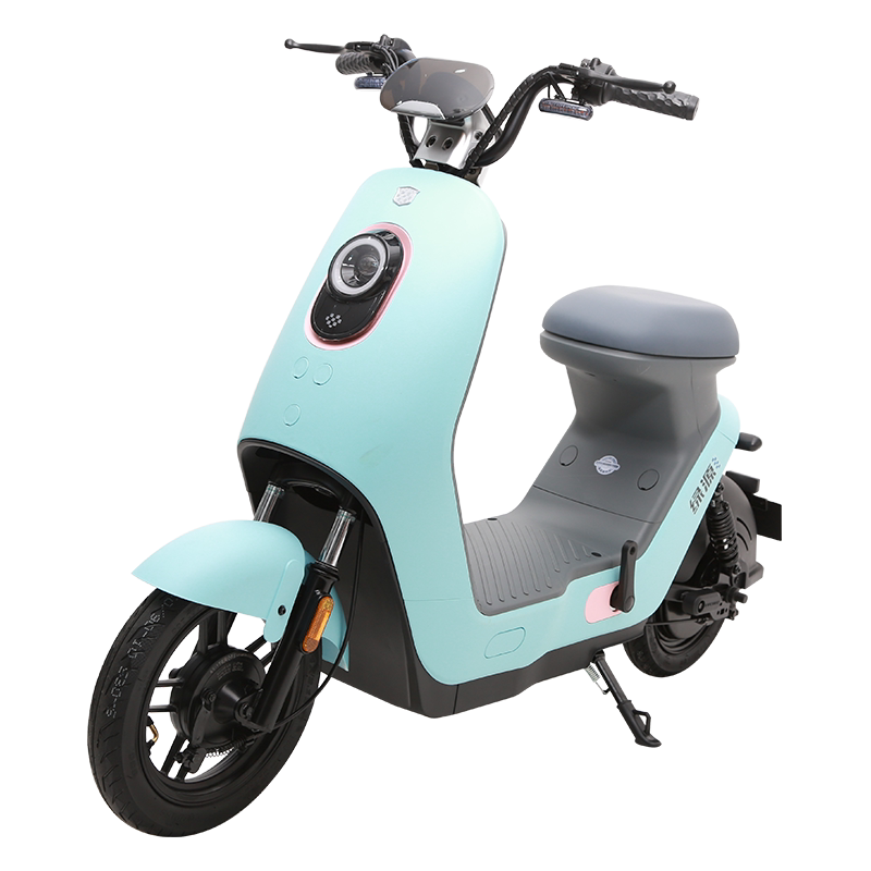 绿源电动车新国标48v16长跑电动车自行车liva6成人男女代步电瓶车